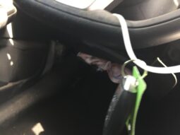 Salvaged Cars 2025 Nissan Sentra